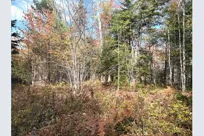 Lot 22 Off South Meadow & Roys Way Road, Perry, ME 04667 - Photo 12