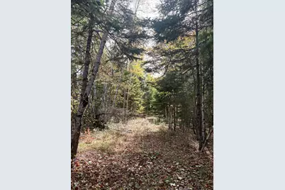 Lot 22 Off South Meadow & Roys Way Road, Perry, ME 04667 - Photo 16