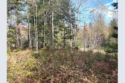 Lot 22 Off South Meadow & Roys Way Road, Perry, ME 04667 - Photo 14