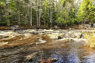 425 Saco Rd, Columbia Falls, ME 04623 - Photo 60