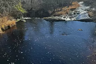 425 Saco Rd, Columbia Falls, ME 04623 - Photo 68