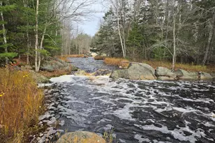 425 Saco Rd, Columbia Falls, ME 04623 - Photo 64