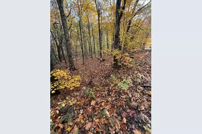 Tbd Map 15, Lot 150 Mt. Pleasant Street, Rockport, ME 04856 - Photo 4