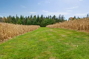 1445 Bear Hill Rd, Dover Foxcroft, ME 04426 - Photo 44