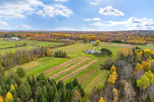 1445 Bear Hill Rd, Dover Foxcroft, ME 04426 - Photo 46