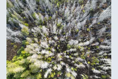 22 Sugarbush Lane, Lee, ME 04455 - Photo 12