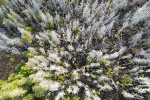 22 Sugarbush Ln, Lee, ME 04455 - Photo 12