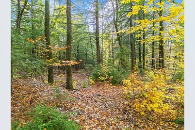 0 South River Lane, Parsonsfield, ME 04047 - Photo 6