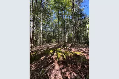 1730 Main Street, Harrington, ME 04643 - Photo 4