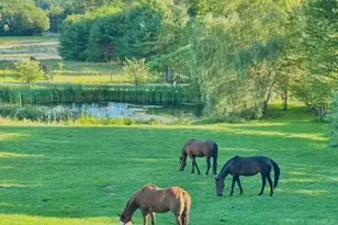 1588 Pond Rd, Mount Vernon, ME 04352 - Photo 86