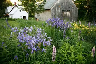 147 Mitchell Brook Rd, Temple, ME 04984 - Photo 4