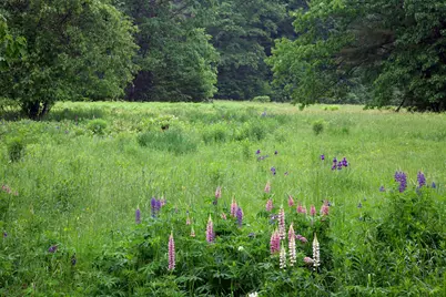 147 Mitchell Brook Road, Temple, ME 04984 - Photo 48