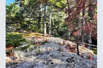 147 Mitchell Brook Road, Temple, ME 04984 - Photo 58