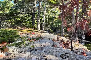 147 Mitchell Brook Rd, Temple, ME 04984 - Photo 58