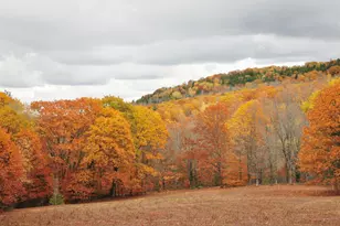 147 Mitchell Brook Rd, Temple, ME 04984 - Photo 46