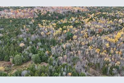 Lot 3-B West Branch Road, Mariaville, ME 04605 - Photo 26