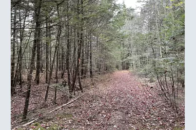 Lot 3-B West Branch Road, Mariaville, ME 04605 - Photo 8