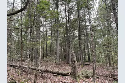 Lot 3-B West Branch Road, Mariaville, ME 04605 - Photo 14