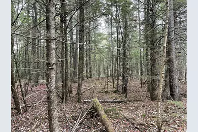 Lot 3-B West Branch Road, Mariaville, ME 04605 - Photo 10