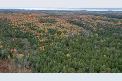 Lot 3-B West Branch Road, Mariaville, ME 04605 - Photo 22