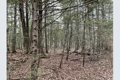 Lot 3-B West Branch Road, Mariaville, ME 04605 - Photo 12