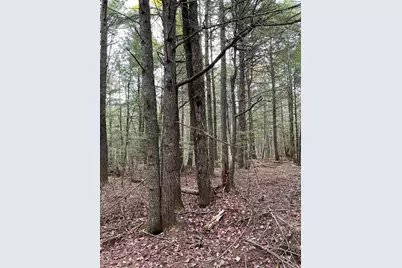 Lot 3-B West Branch Road, Mariaville, ME 04605 - Photo 18