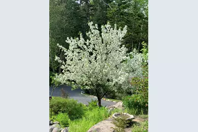 20 Toms Trail, Greenville, ME 04441 - Photo 76