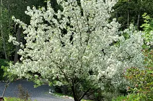 20 Toms Trail, Greenville, ME 04441 - Photo 76