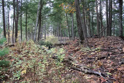 735 Sandy River Road, Starks, ME 04911 - Photo 40