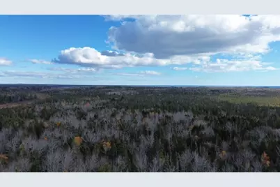 M51 L8 Grand Marsh Bay Road, Gouldsboro, ME 04624 - Photo 26