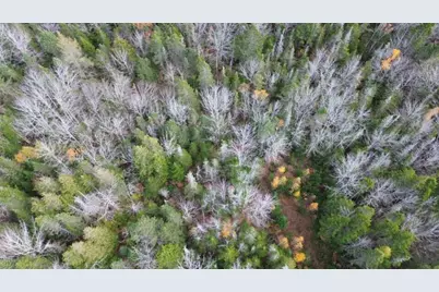 M51 L8 Grand Marsh Bay Road, Gouldsboro, ME 04624 - Photo 28