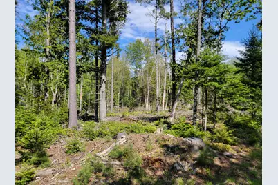 00 W Appleton Road, Appleton, ME 04862 - Photo 8