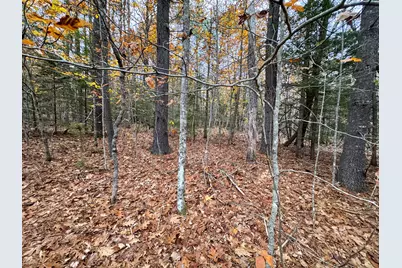 Lot 57B Dodge Road, Dresden, ME 04342 - Photo 10