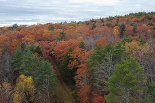 Lot 57B Dodge Rd, Dresden, ME 04342 - Photo 1