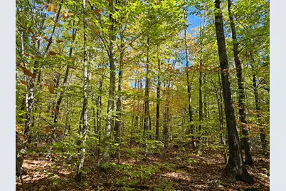 0 Canton Mountain Road, Canton, ME 04221 - Photo 88