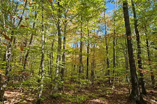 0 Canton Mountain Rd, Canton, ME 04221 - Photo 88