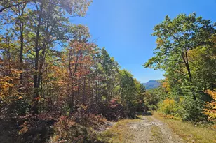 0 Canton Mountain Rd, Canton, ME 04221 - Photo 44