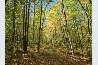 0 Canton Mountain Road, Canton, ME 04221 - Photo 66