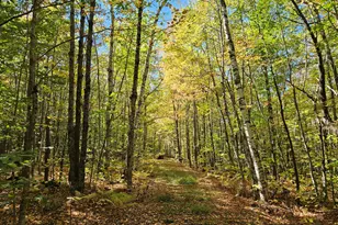 0 Canton Mountain Rd, Canton, ME 04221 - Photo 66