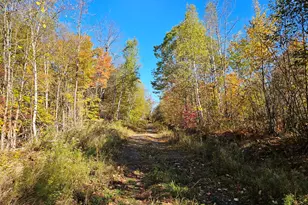 0 Canton Mountain Rd, Canton, ME 04221 - Photo 60