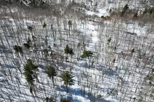 0 Canton Mountain Rd, Canton, ME 04221 - Photo 8