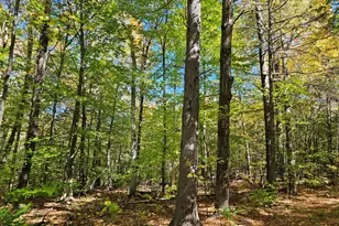 0 Canton Mountain Rd, Canton, ME 04221 - Photo 70