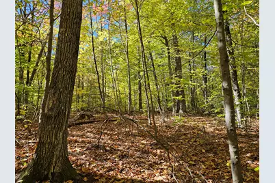 0 Canton Mountain Road, Canton, ME 04221 - Photo 90