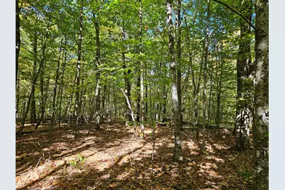 0 Canton Mountain Road, Canton, ME 04221 - Photo 78