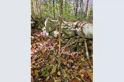 0 Canton Mountain Road, Canton, ME 04221 - Photo 62