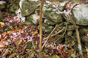 0 Canton Mountain Rd, Canton, ME 04221 - Photo 62