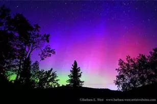 10 Wood Duck Wy, T3 R9 Nwp, ME 04462 - Photo 42