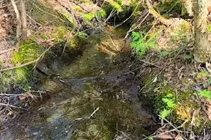 Lot 2 Morrison Brook Acres, Oakfield, ME 04763 - Photo 12