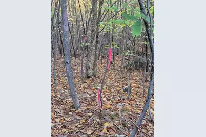 Lot 2 Morrison Brook Acres, Oakfield, ME 04763 - Photo 20