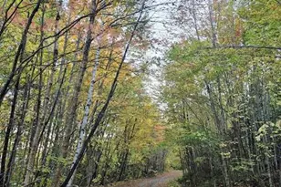 Lot 2 Morrison Brook Acres, Oakfield, ME 04763 - Photo 16